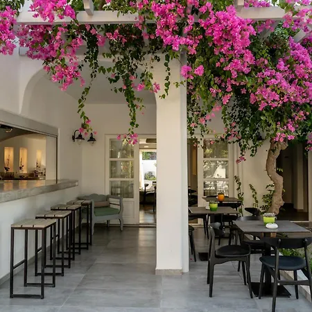 Hippocampus 3* Kamári