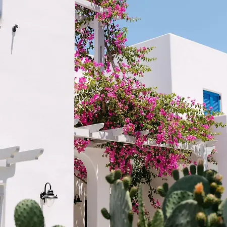 Hotel Hippocampus 3*