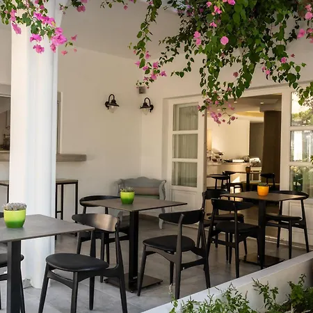 Hippocampus Otel 3*